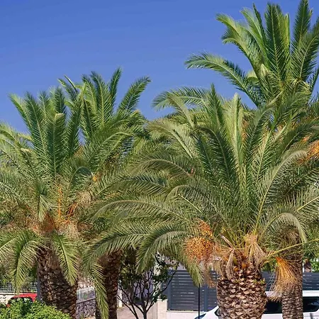 Apartment Sidro